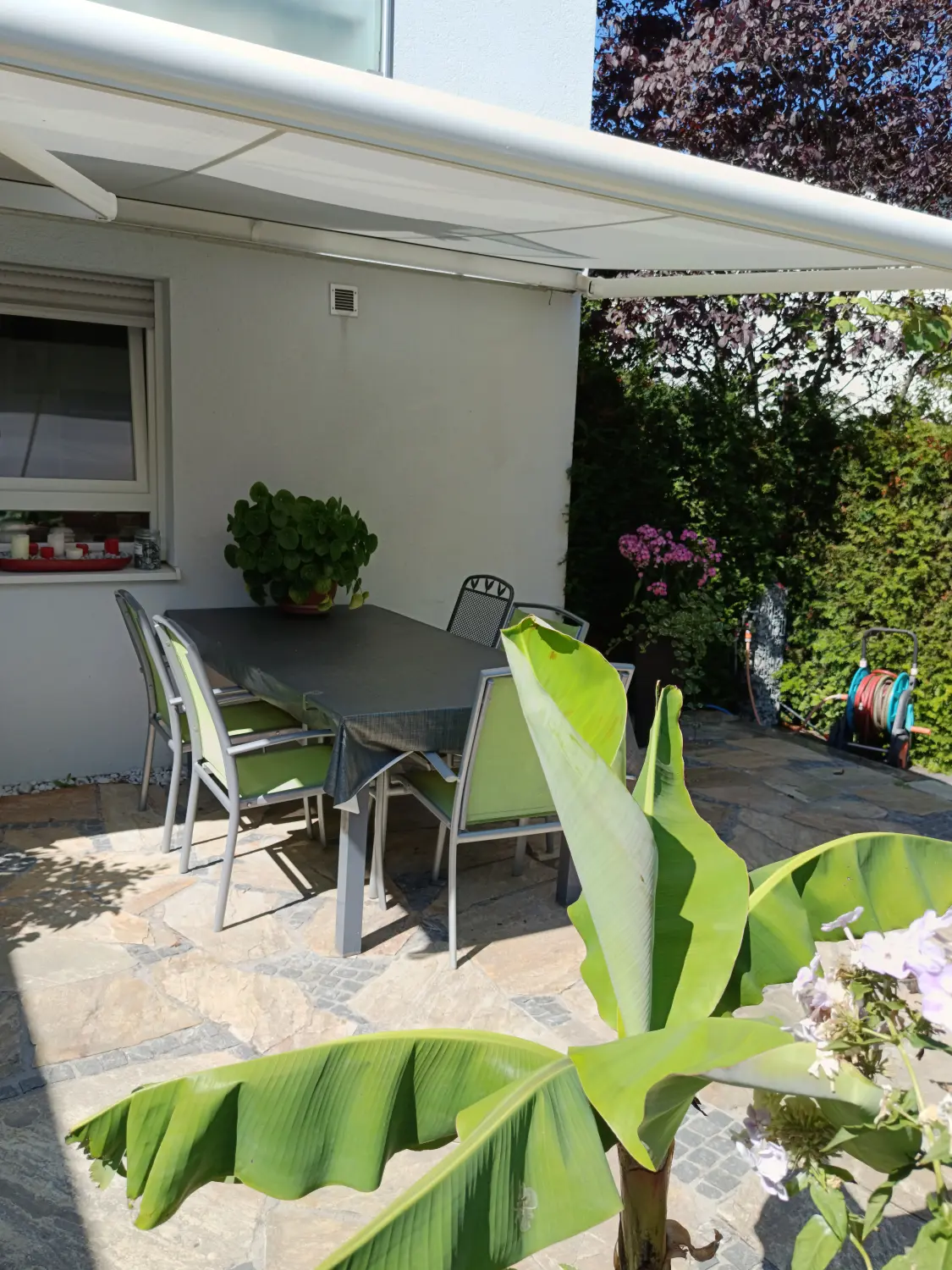 Gartenbereich von Martina International