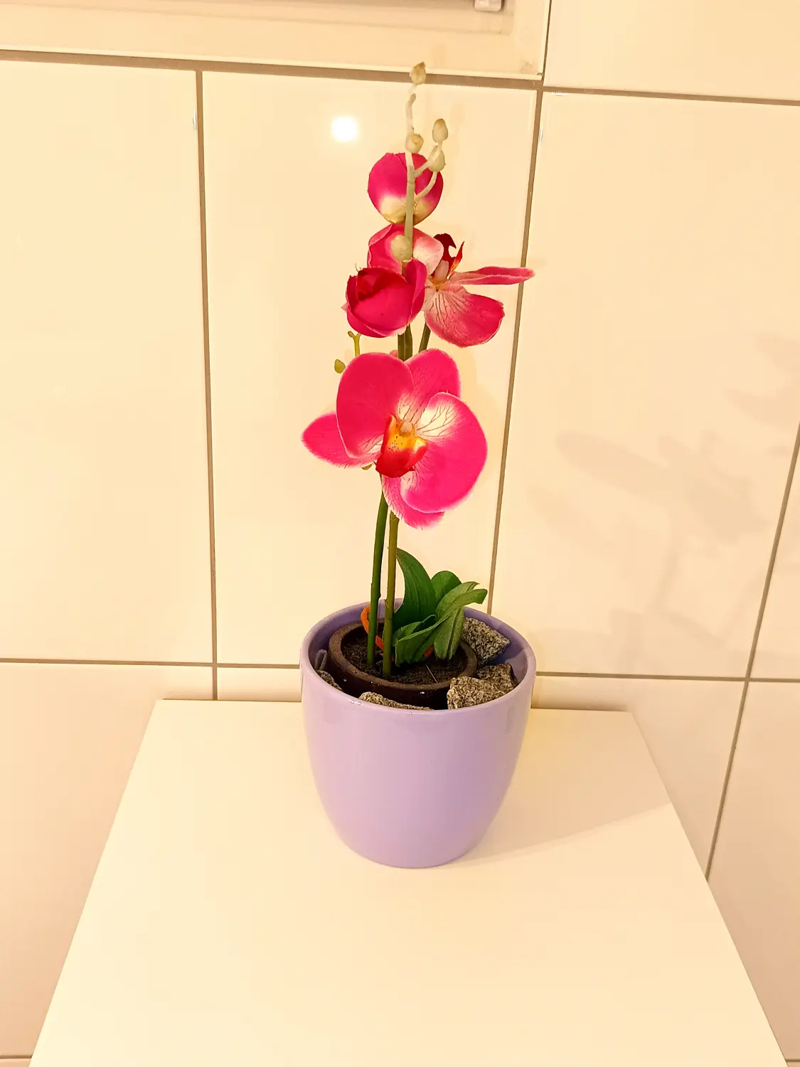 Badezimmer von Martina International