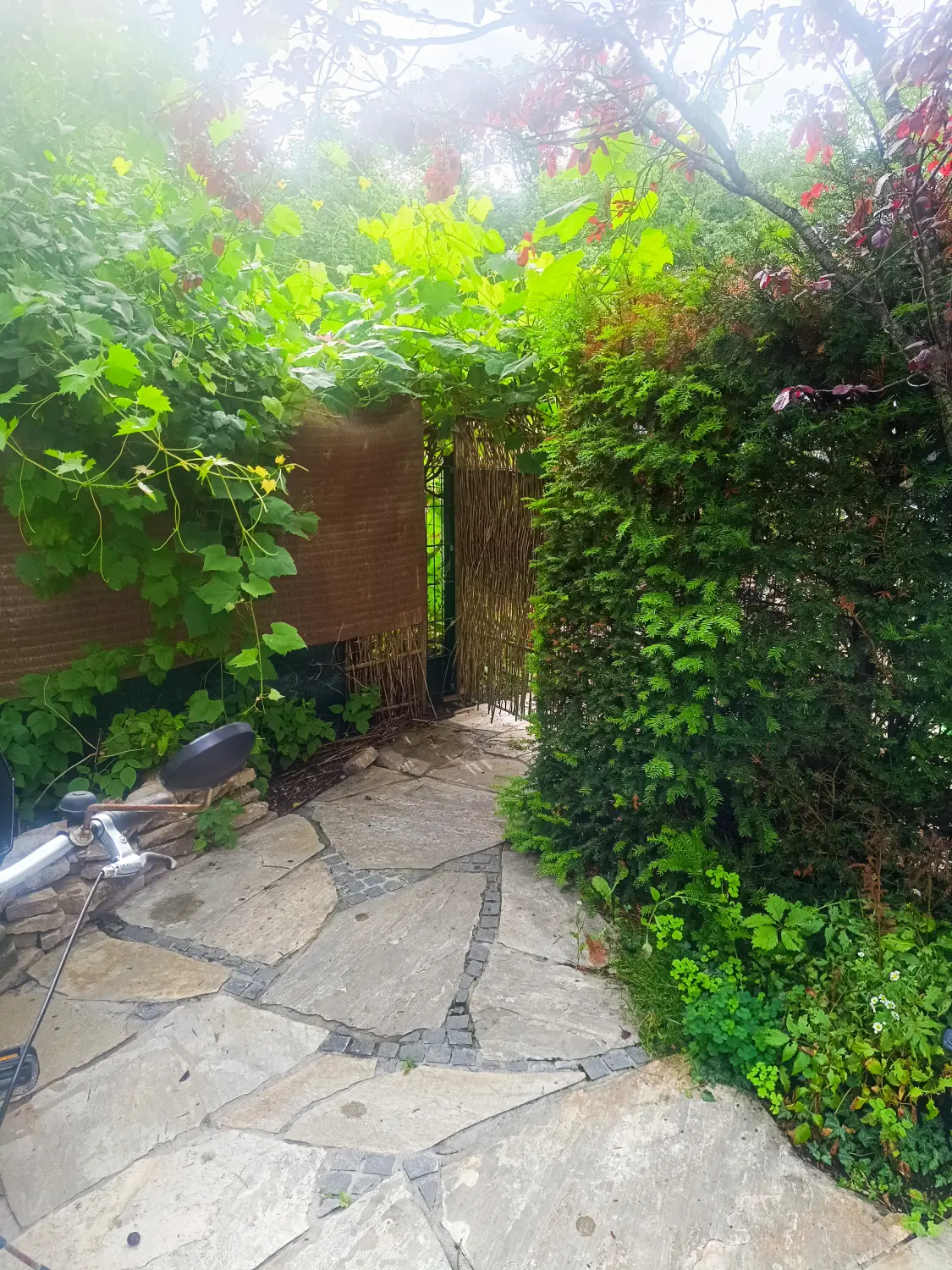 Gartenbereich von Martina International