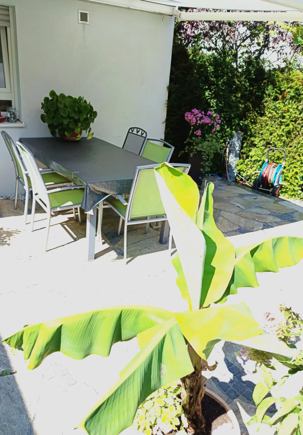 Gartenbereich von Martina International
