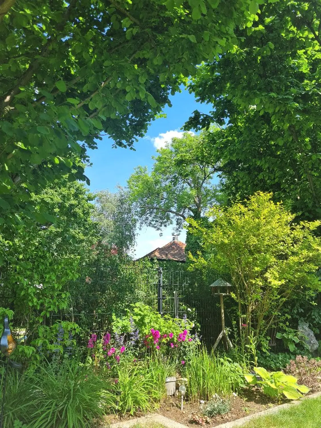 Gartenbereich von Martina International