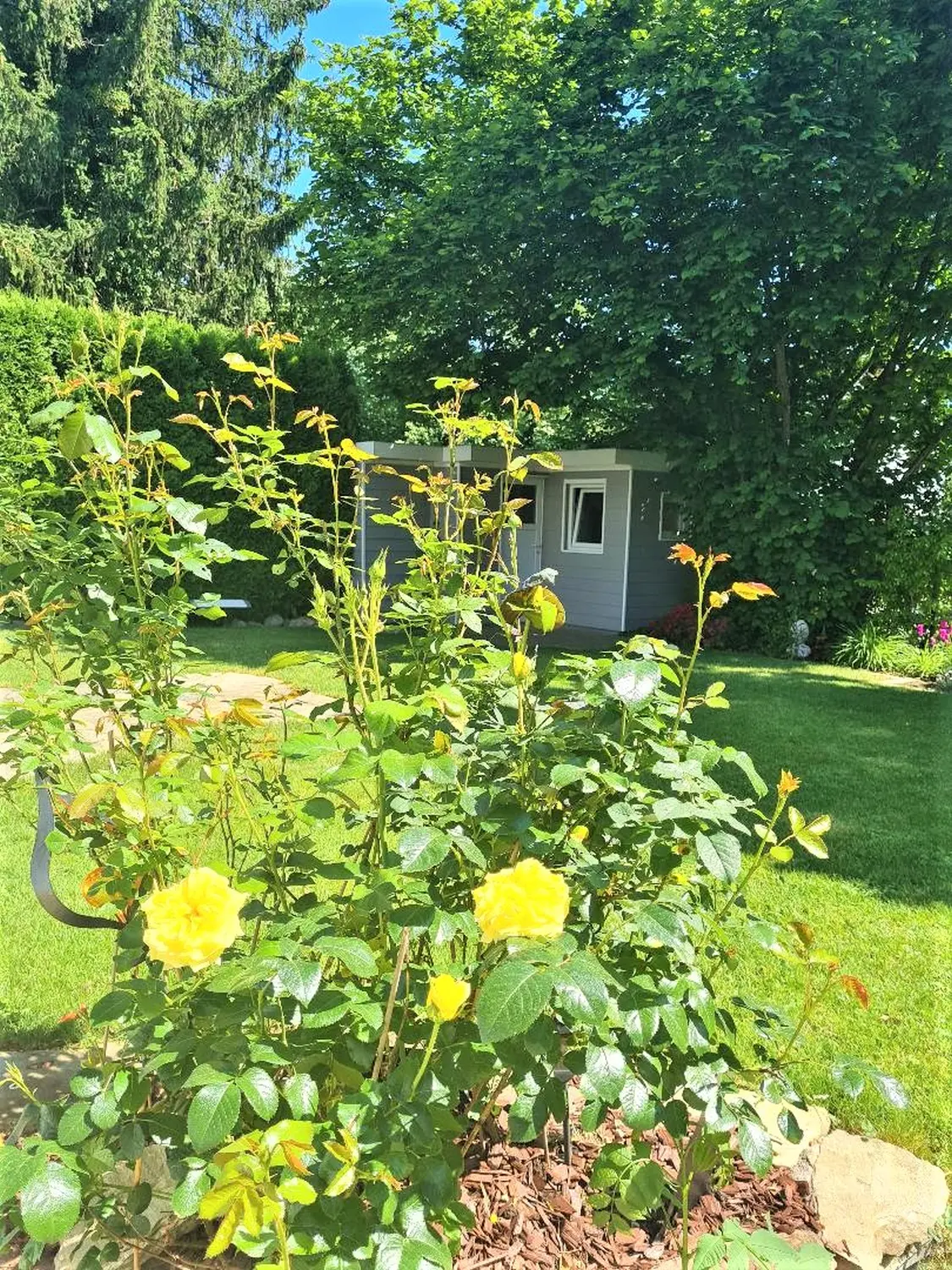 Gartenbereich von Martina International