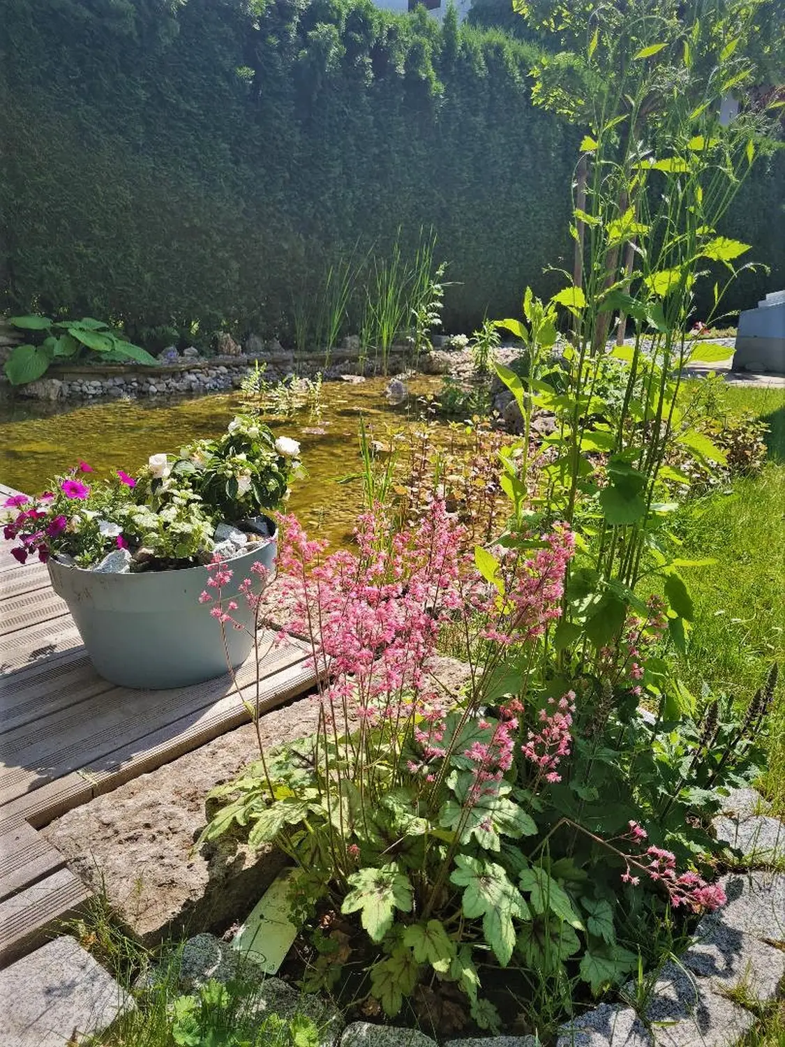 Gartenbereich von Martina International