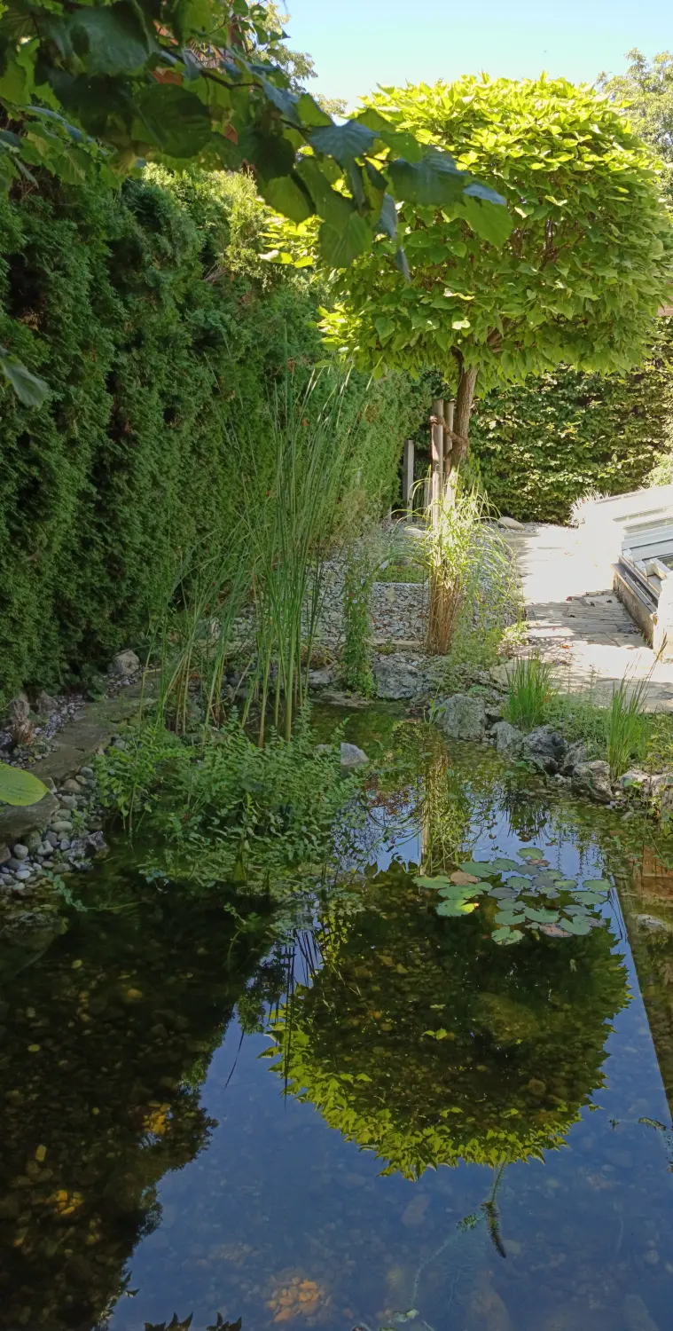 Tiny Lake House von Martina International