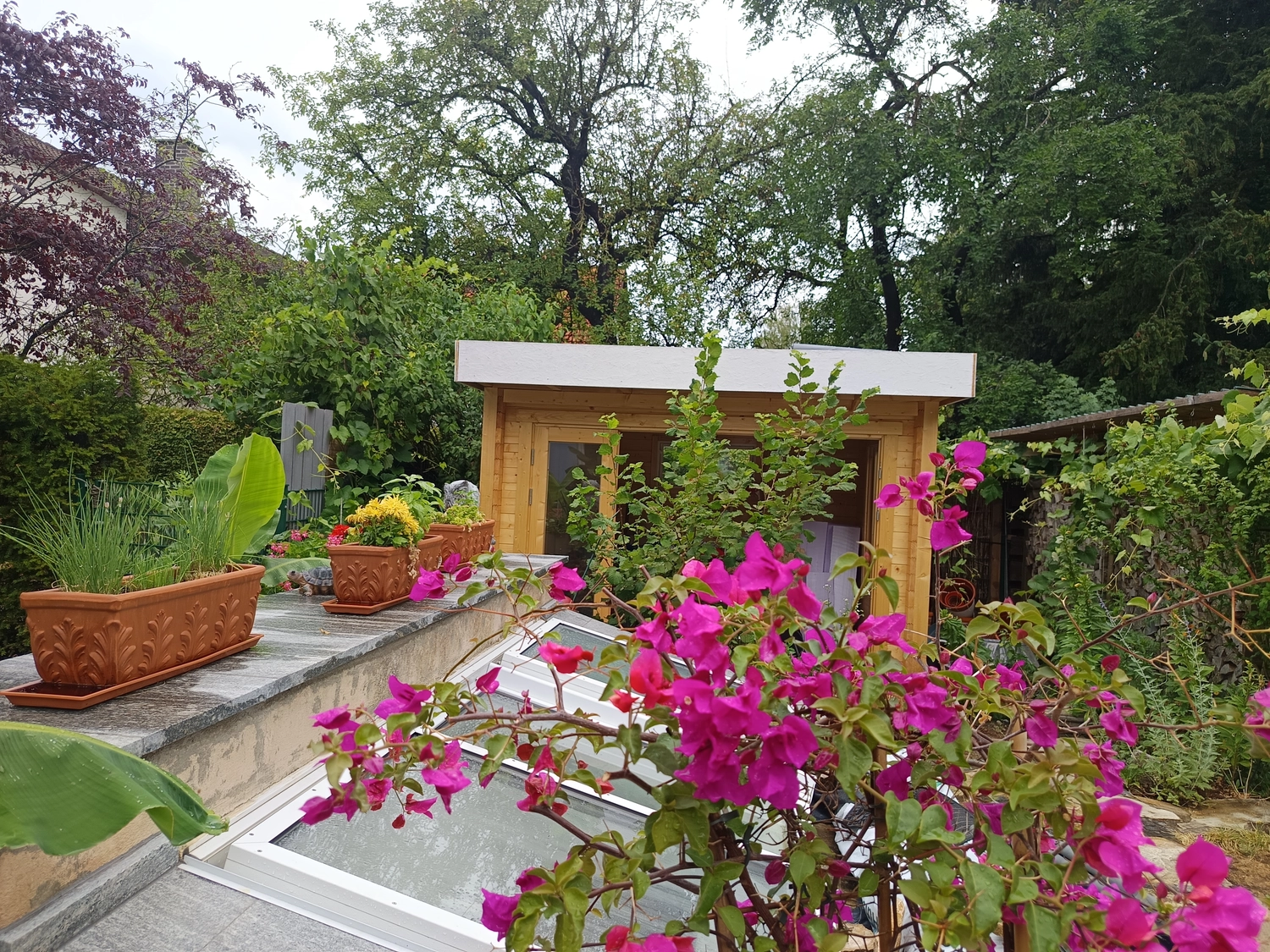 Willkommen in München von Martina International Garden